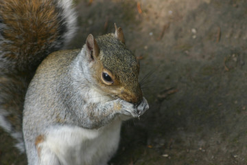 Feeding time