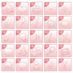 Icon web set - rosa