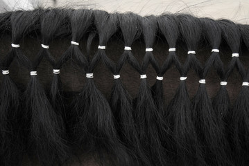 mane pattern © Heorshe