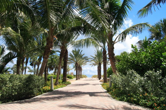 Tropical walkway to south beach