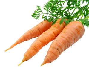 red carrots