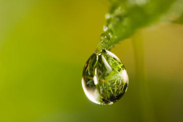 small drop on grass