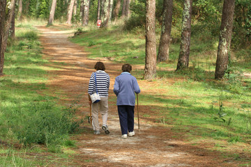 couple de personnes âgées qui se proménent en forêt