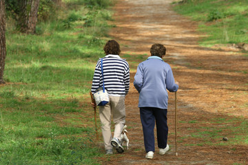 couple de personnes âgées qui se proménent en forêt