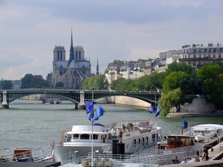 Notre Dame from distance, Paris
