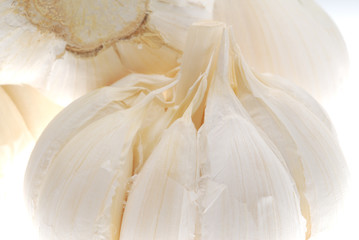 Fototapeta na wymiar close up of white garlic