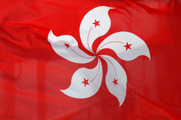 Naklejka premium Hong Kong flag