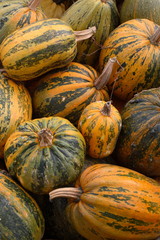 Pumpkins - 4645517