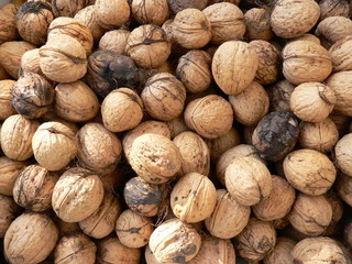 Walnüsse