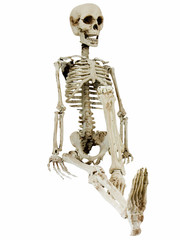 Skeleton Relaxing
