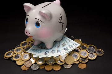 Piggy Bank with money