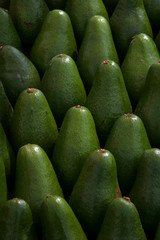 AVOCADOS