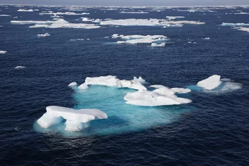Foto auf Acrylglas Arktis Eisfeld in der Arktis