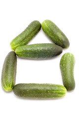 cucumber house