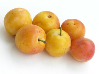 Fototapeta na wymiar yellow plums