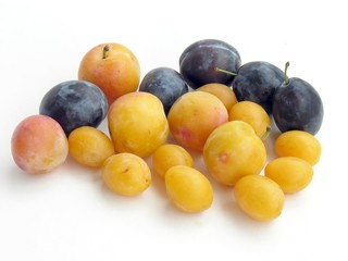 yellow and violet plums