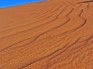 Wanderdüne in Sahara