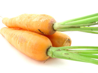 Carrots