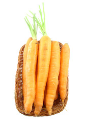 Carrot