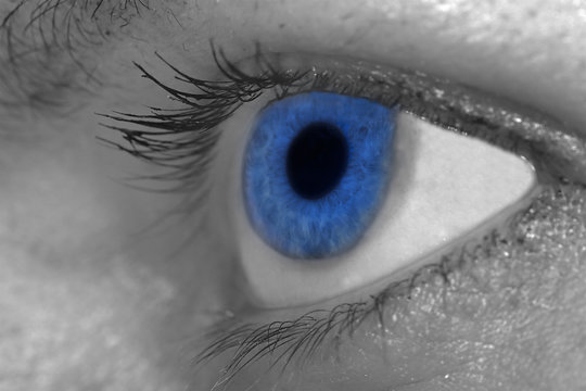 blue color eye