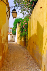Portugal, Algarve, Silves: Typical architecture
