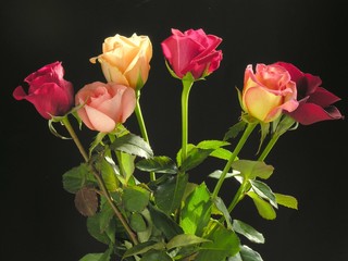 posy of multicolour roses