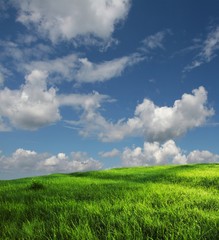 Field and clouds