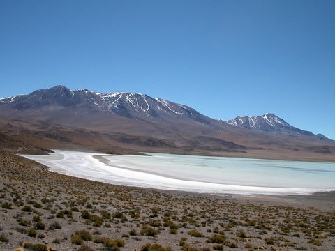 Laguna Hedionda - Bolivia