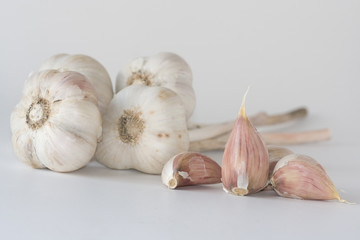 Garlic
