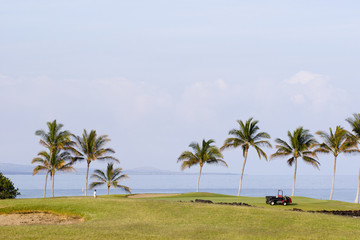 Obraz na płótnie Canvas Hawaiian Golf Course Maintenance