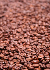 Coffee beans background