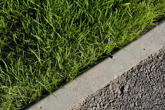 Grass with pavement