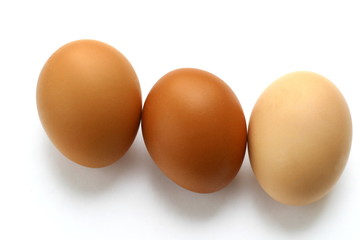 Egg, ei