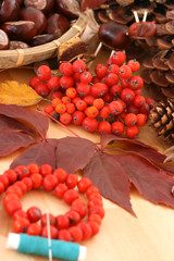 autumn decoration