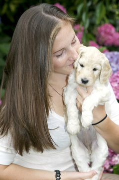 Pretty girl holding labradoodle puppy and giving it snugs