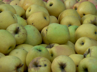 pommes