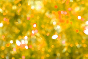 Obraz premium Golden glow light blur