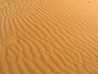 Sandy Waves