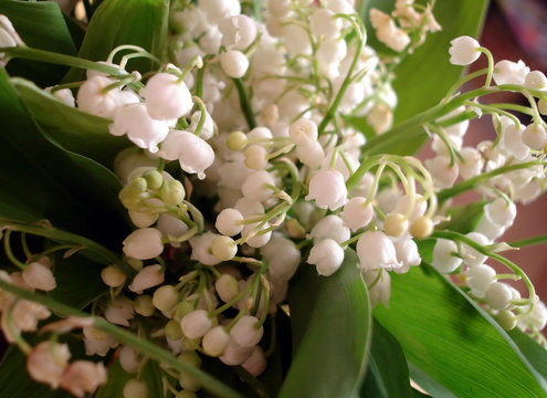 1ER MAI