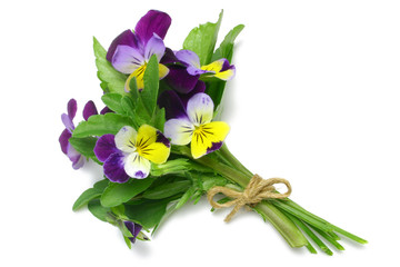 Fototapeta Heartsease (Viola tricolor) obraz