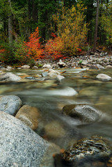 Autumn Leaves and the creek