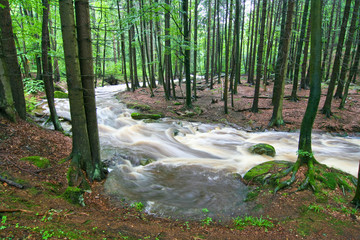 Hochwasser Gebirgsbach
