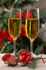 Christmas Rose