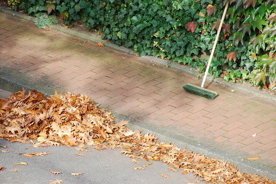 Gehweg Fegen im Herbst