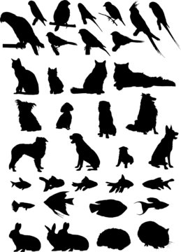 36 Animal Pets Silhouettes