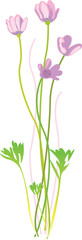 Flower Floral Illustration