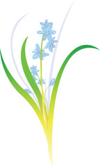 Flower Floral Illustration
