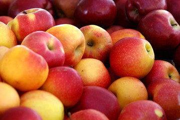 apples at the market