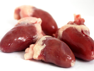 chicken entrails - heart on white background