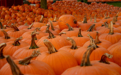 Pumpkins